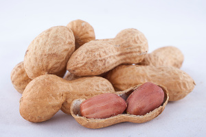 peanut orex
